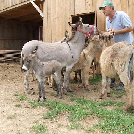 Tourist Farm Ob Izviru Krupe Βίλα Semic Εξωτερικό φωτογραφία